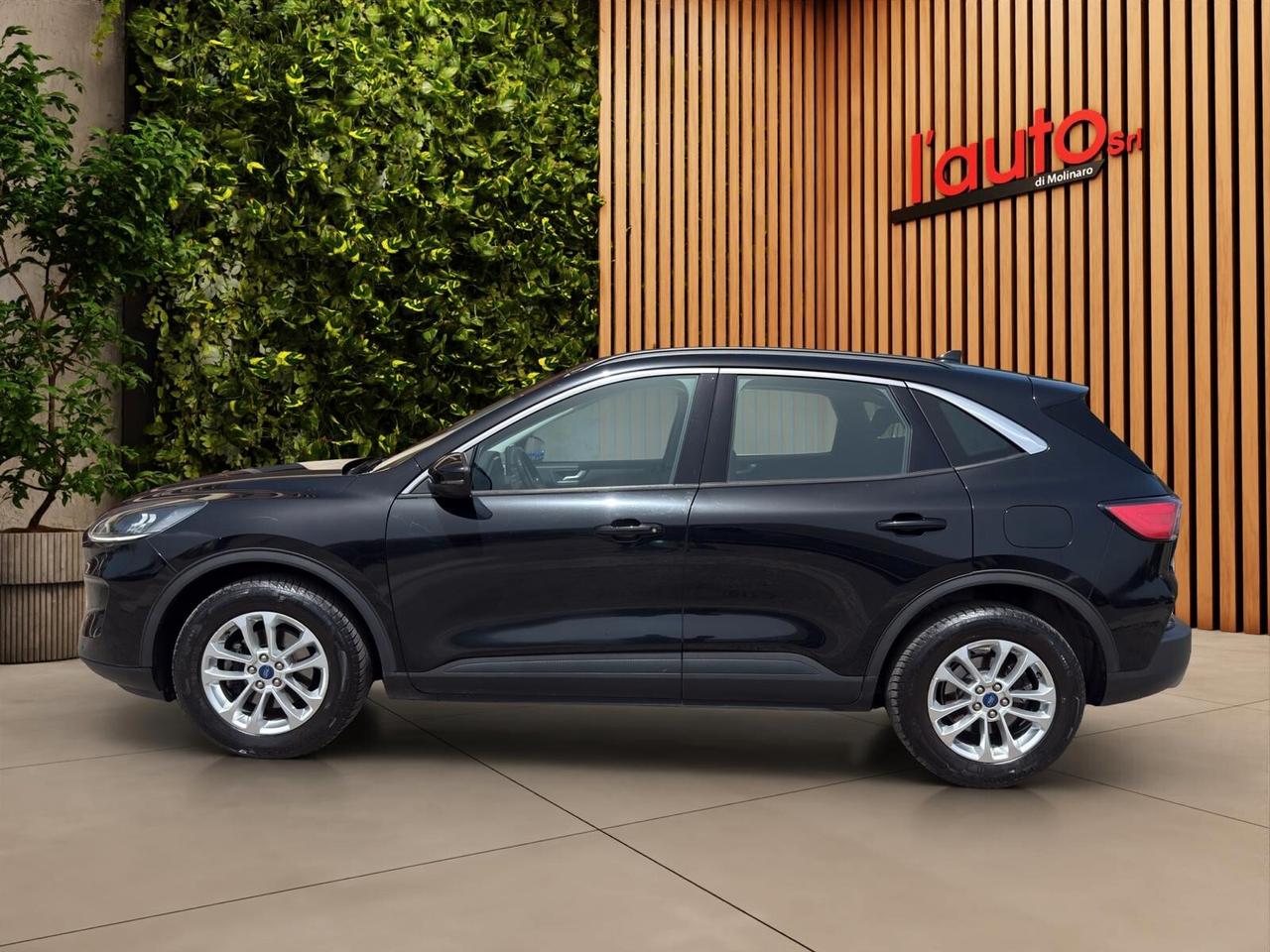 Ford Kuga 1.5 EcoBlue 120 CV 2WD Titanium