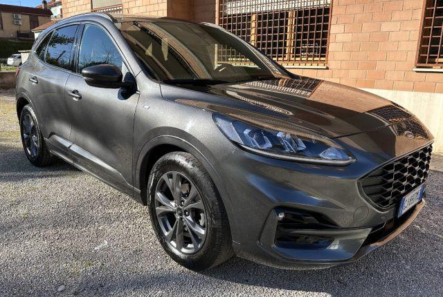 FORD Kuga 1.5 EcoBlue 120 CV 2WD ST-Line GARANZIA