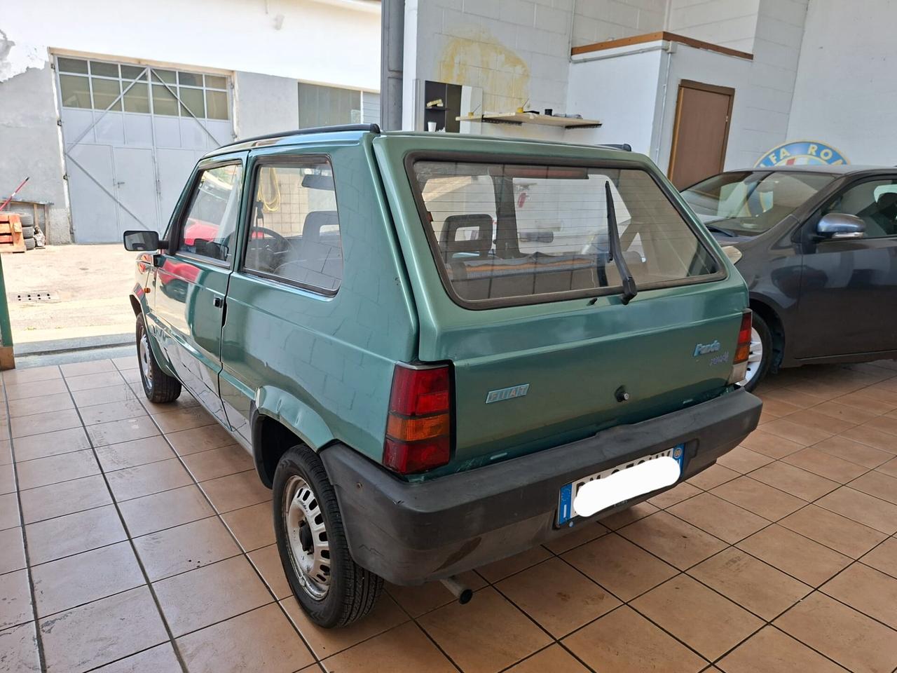 Fiat Panda 900 i.e. cat Young