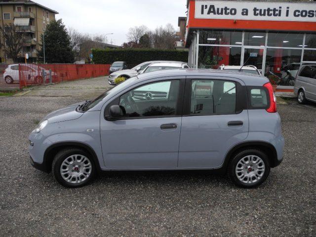 FIAT Panda 1.0 FireFly S&S Hybrid City Life - OK NEOPATENTATI