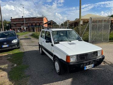 Fiat Panda 900 i.e. cat Young