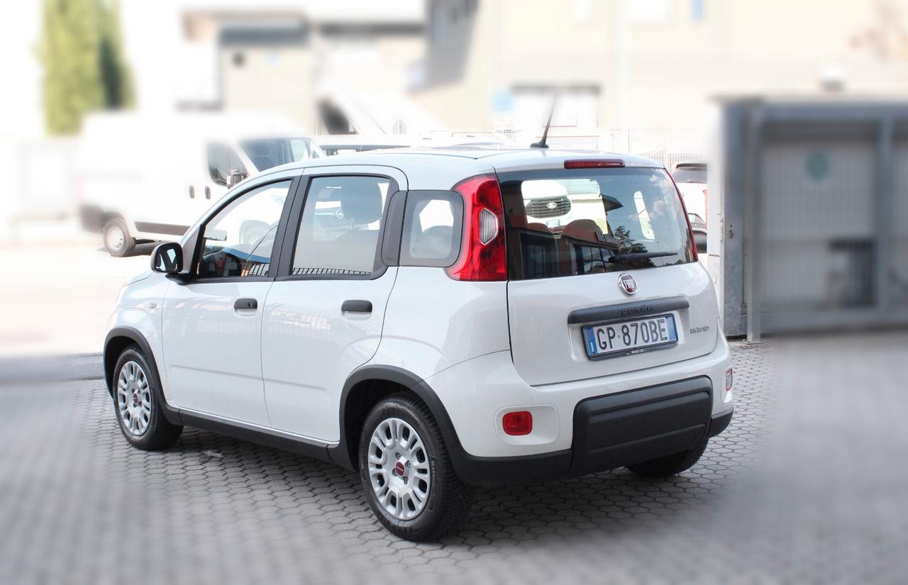 Fiat Panda 1.0 FireFly S&S Hybrid-OK NEOPATENTATI
