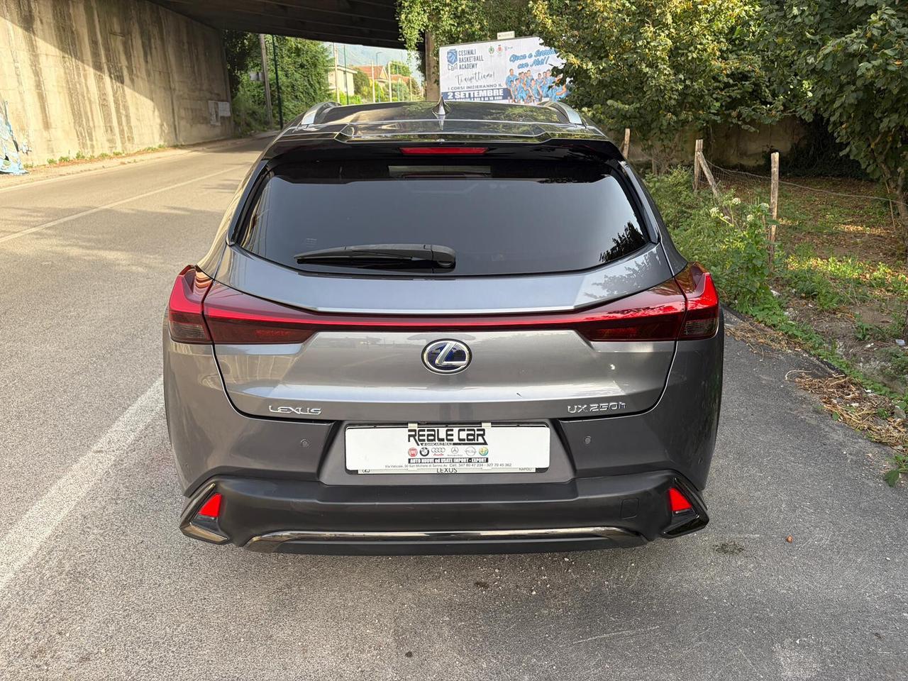 Lexus UX 2.0 Hybrid 152cv Tetto F Sport