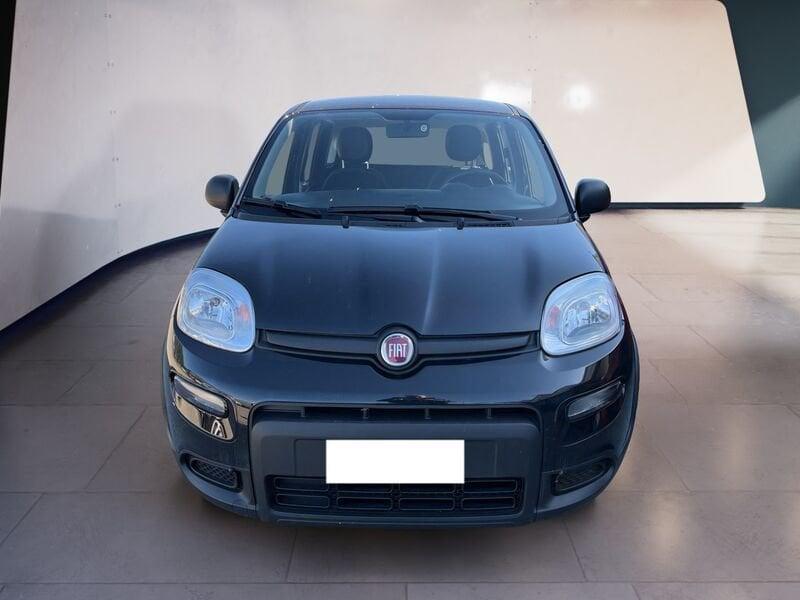 FIAT Panda My24 1.0 70cv Hybrid Panda