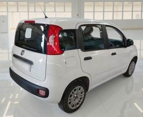 FIAT PANDA 1.2 69CV - Marzo 2019
