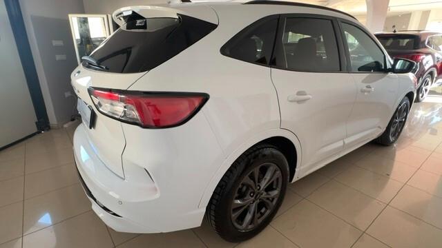 Ford Kuga 1.5 EcoBlue 120 CV 2WD ST-Line