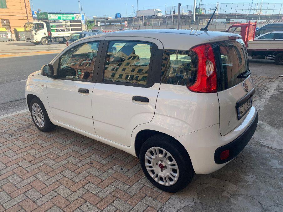 Fiat Panda 1.2 Easy - OK NEOPATENTATI