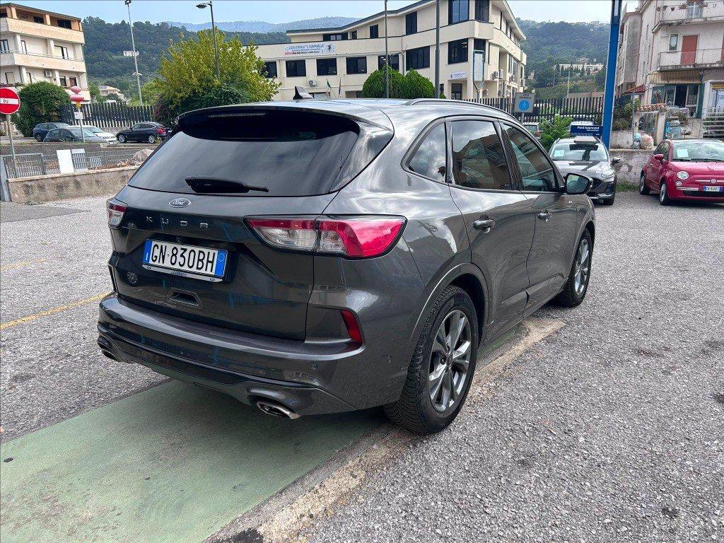 FORD Kuga 2.0 ecoblue ST-Line X 2wd 120cv auto del 2023