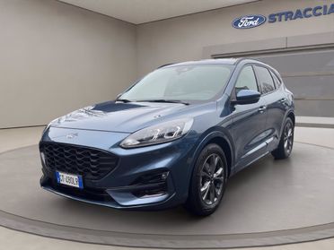FORD Kuga 2.0 ecoblue ST-Line X 2wd 120cv auto del 2024