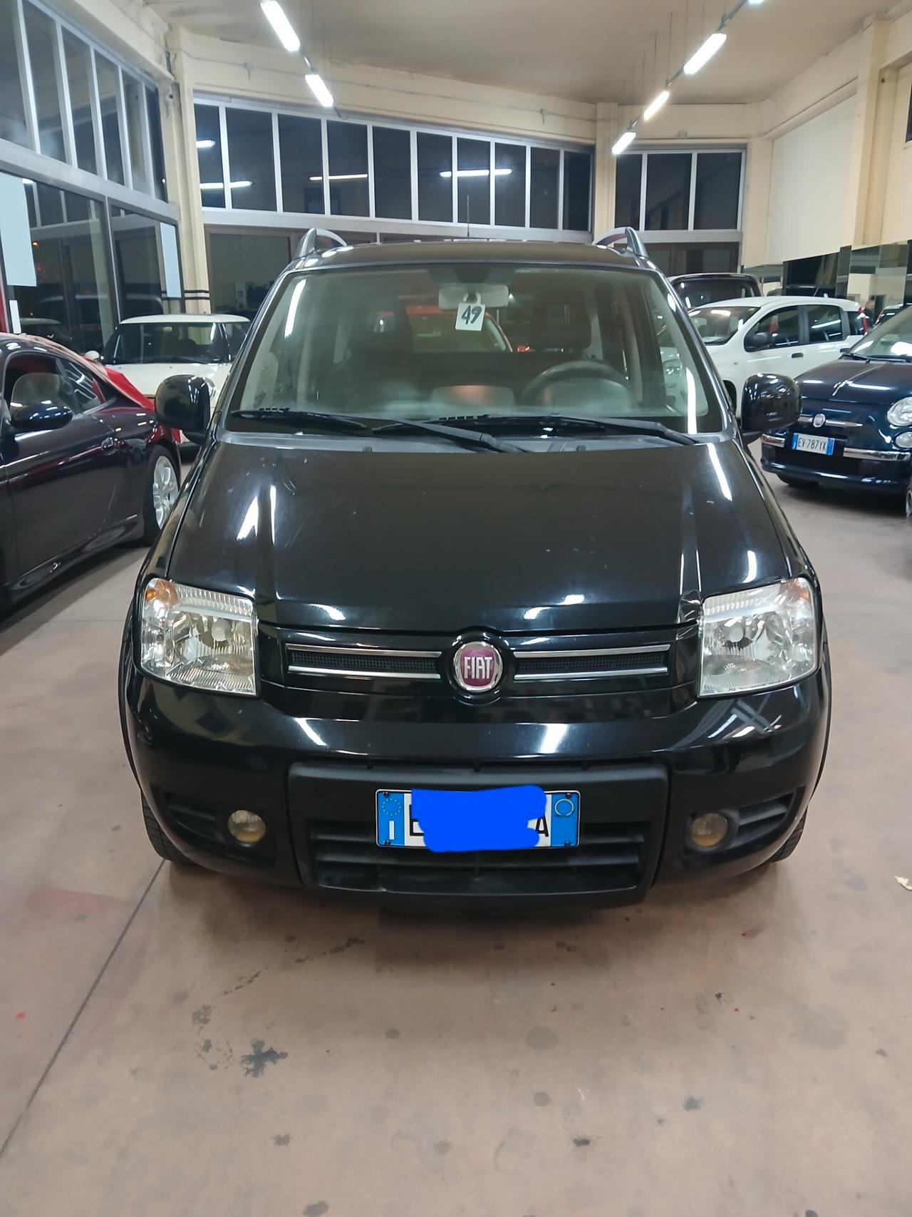 Fiat Panda 1.2 4x4 Climbing GPL