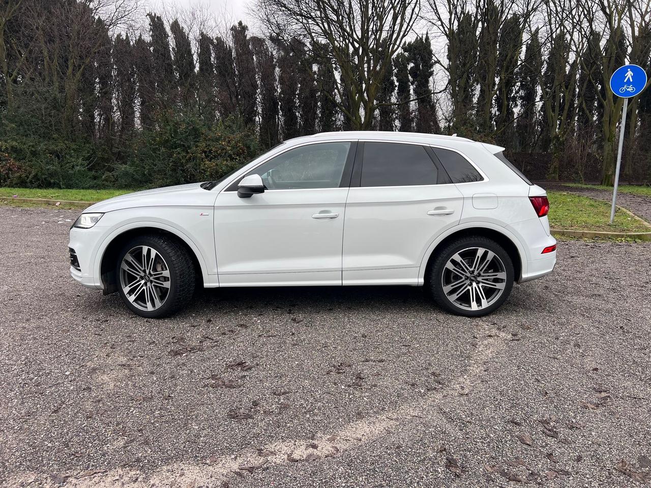 Audi Q5 2.0 55 TFSI e PHEV S Line Plus #8417