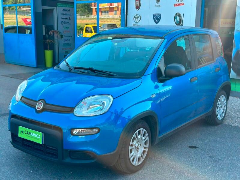 FIAT Panda 3ª serie Panda 1.0 FireFly S&S Hybr...