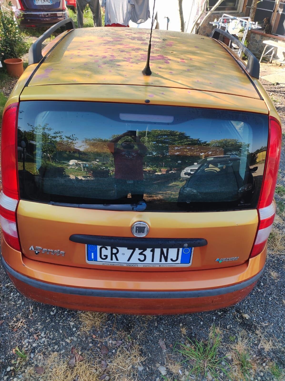Fiat Panda 1.2 Dynamic Metano
