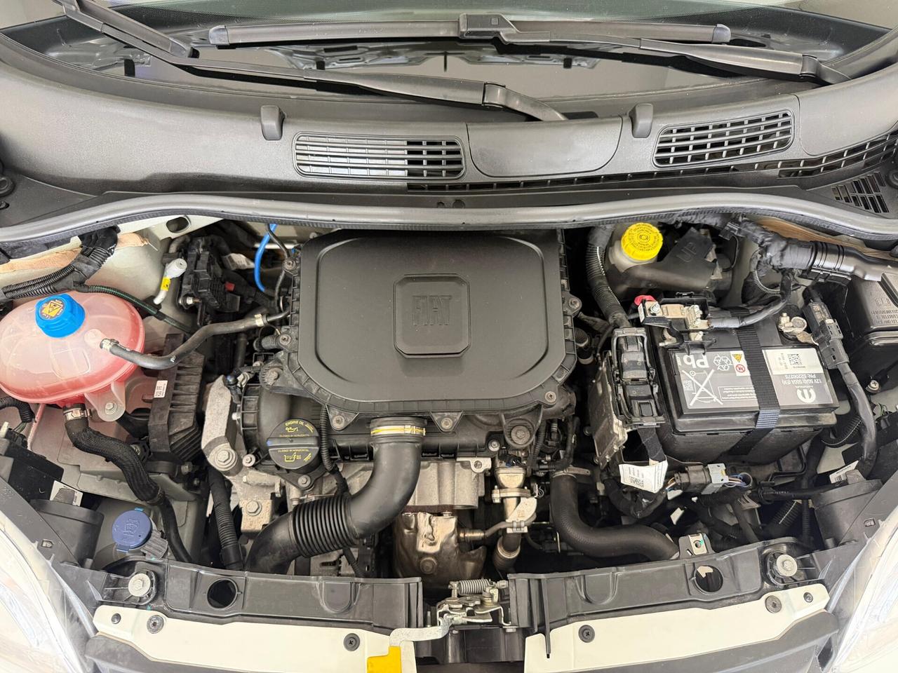 Fiat Panda 1.0 Hybrid 70cv 2024 solo 20.000km
