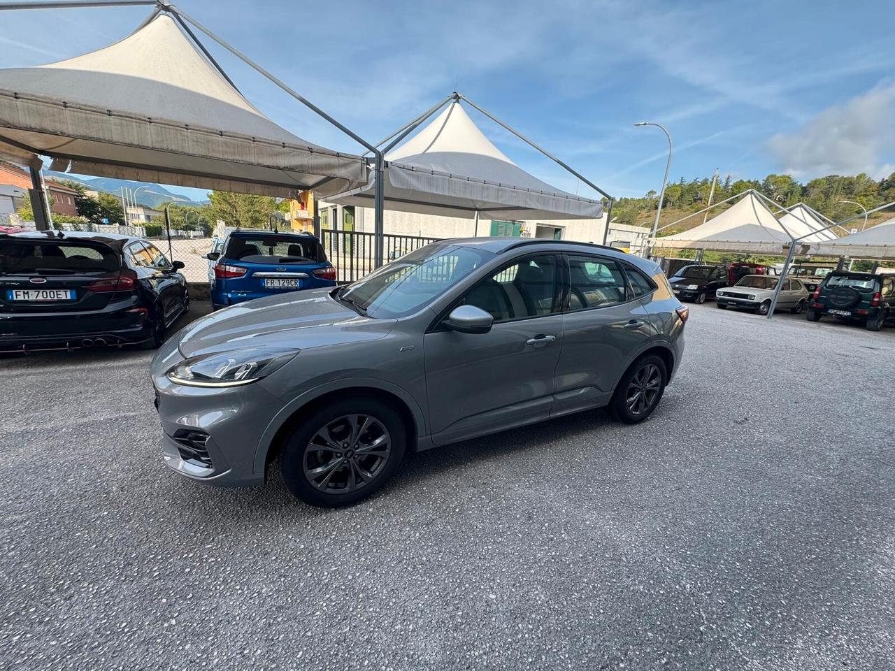 Ford Kuga 1.5 EcoBlue 120 CV aut. 2WD ST-Line