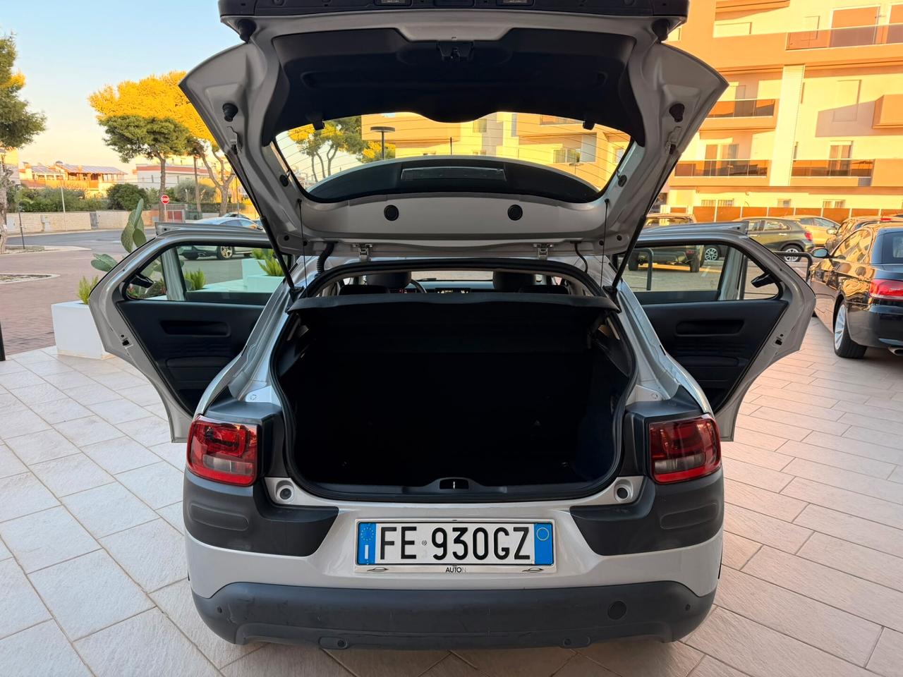 Citroen C4 Cactus BlueHDi 100 Shine