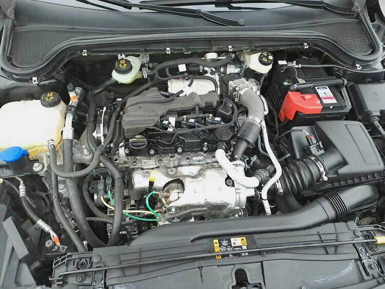 Ford Focus ST-Line BR932561 1.5 Diesel 115CV