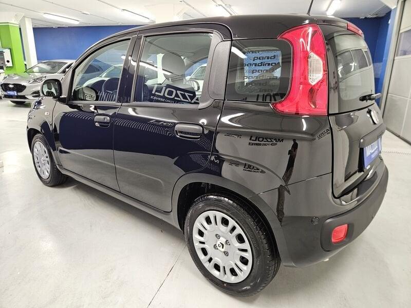 FIAT Pandina 1.0 firefly hybrid Icon s&s 65cv