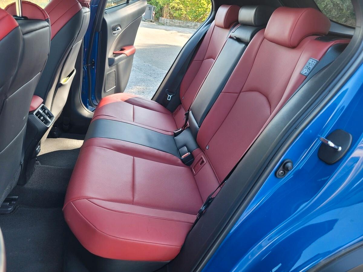 Lexus UX Hybrid F Sport 250h 2.0