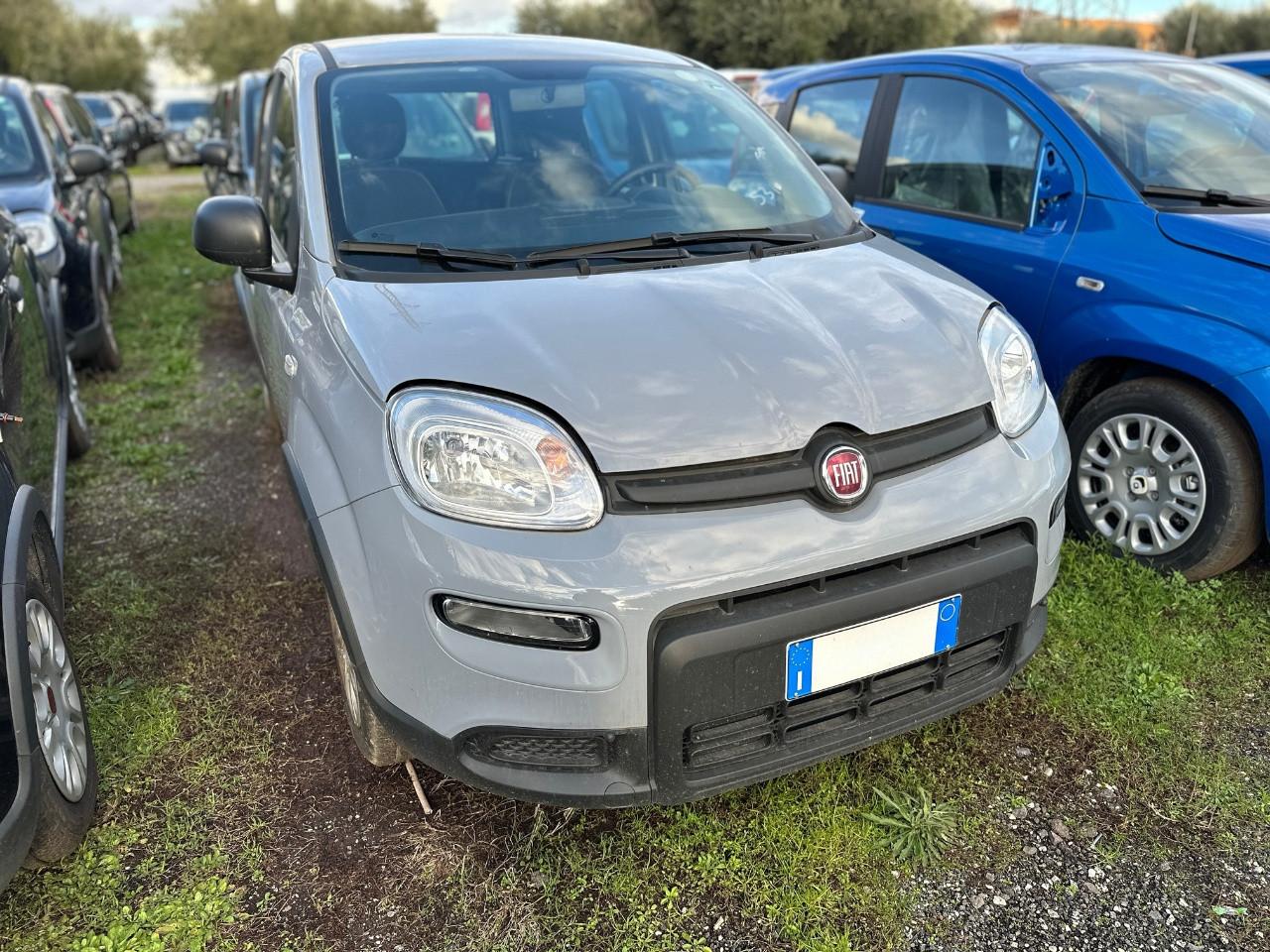 FIAT Panda III 2021 - Panda 1.0 firefly hybrid s&s 70cv 5p.ti