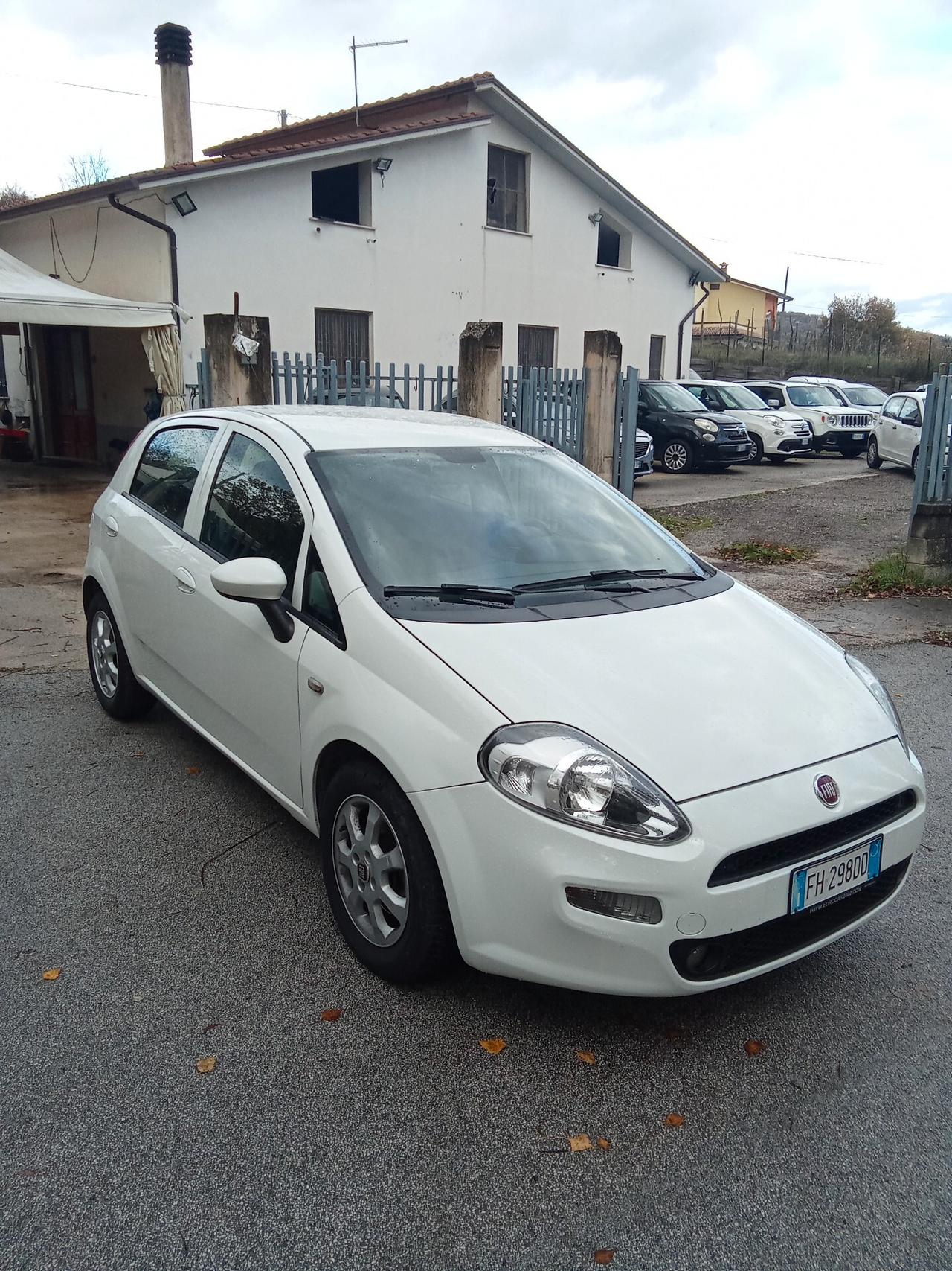Fiat Punto 1.3 MJT 80cc Van Easy 4 posti 017