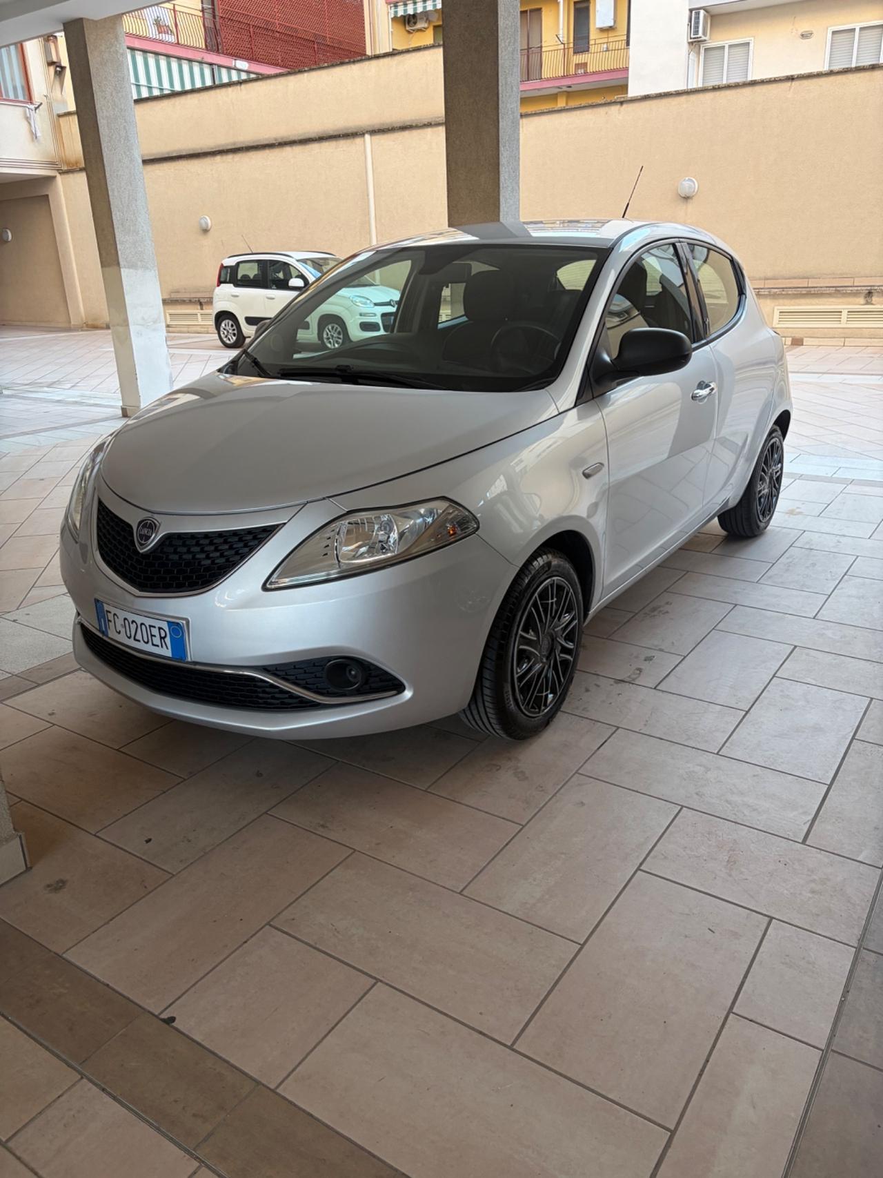 Lancia Ypsilon 1.2 69 CV 5 porte Platinum