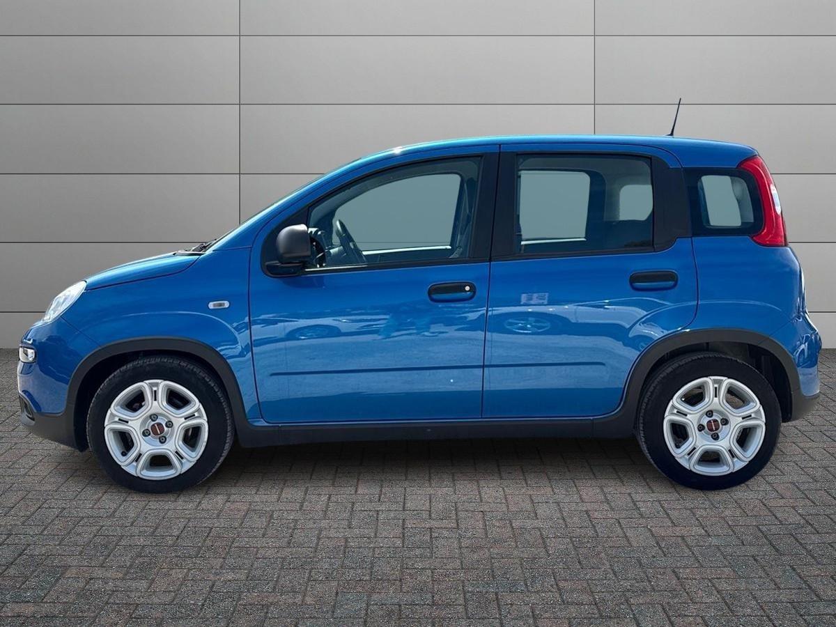 FIAT Panda III 2021 - Panda 1.0 firefly hybrid s&s 70cv