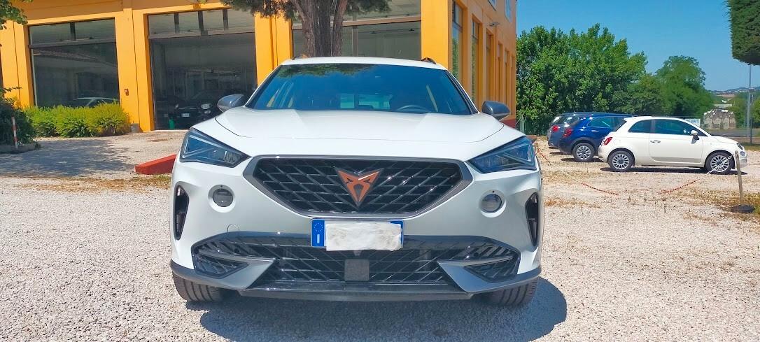 Cupra Formentor 2.0 TDI 4Drive DSG