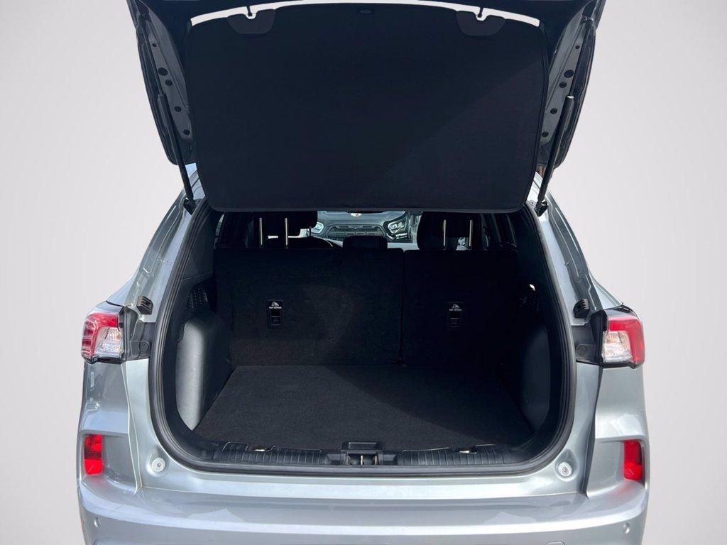 FORD Kuga 1.5 EcoBoost 150 CV 2WD ST-Line del 2023