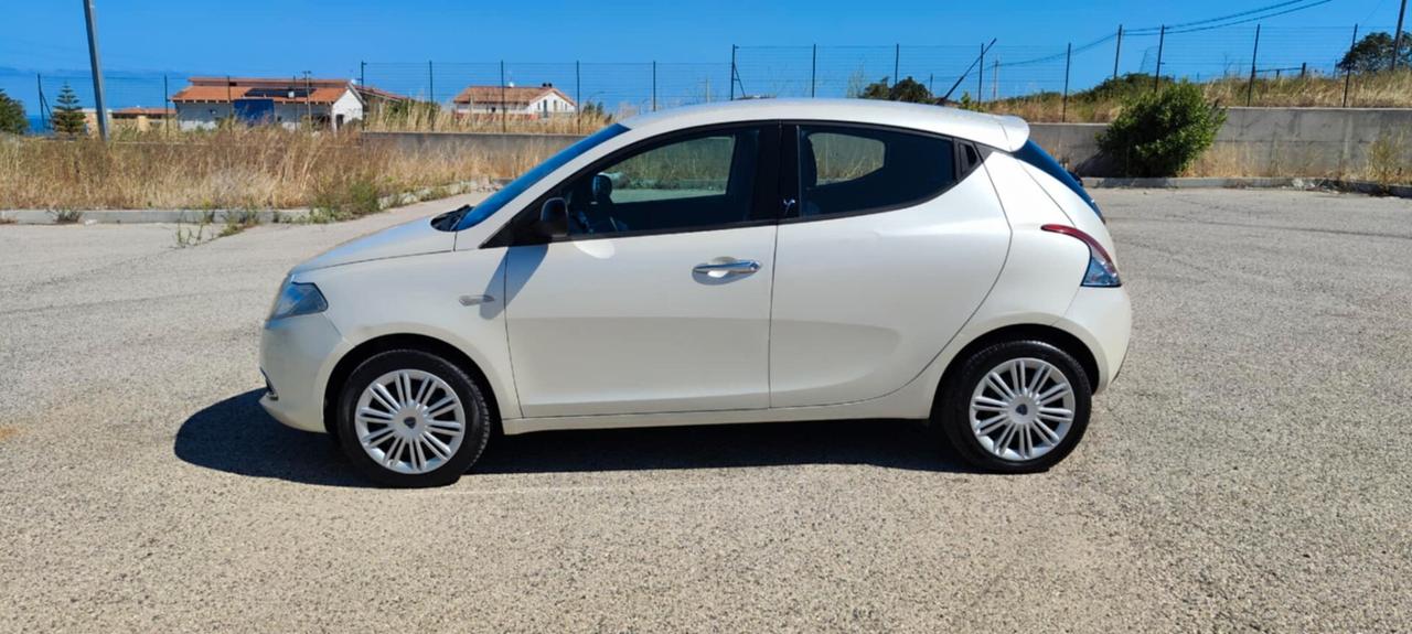 Lancia Ypsilon 1.3 MJT 16V 95 CV 5 porte S&S Platinum