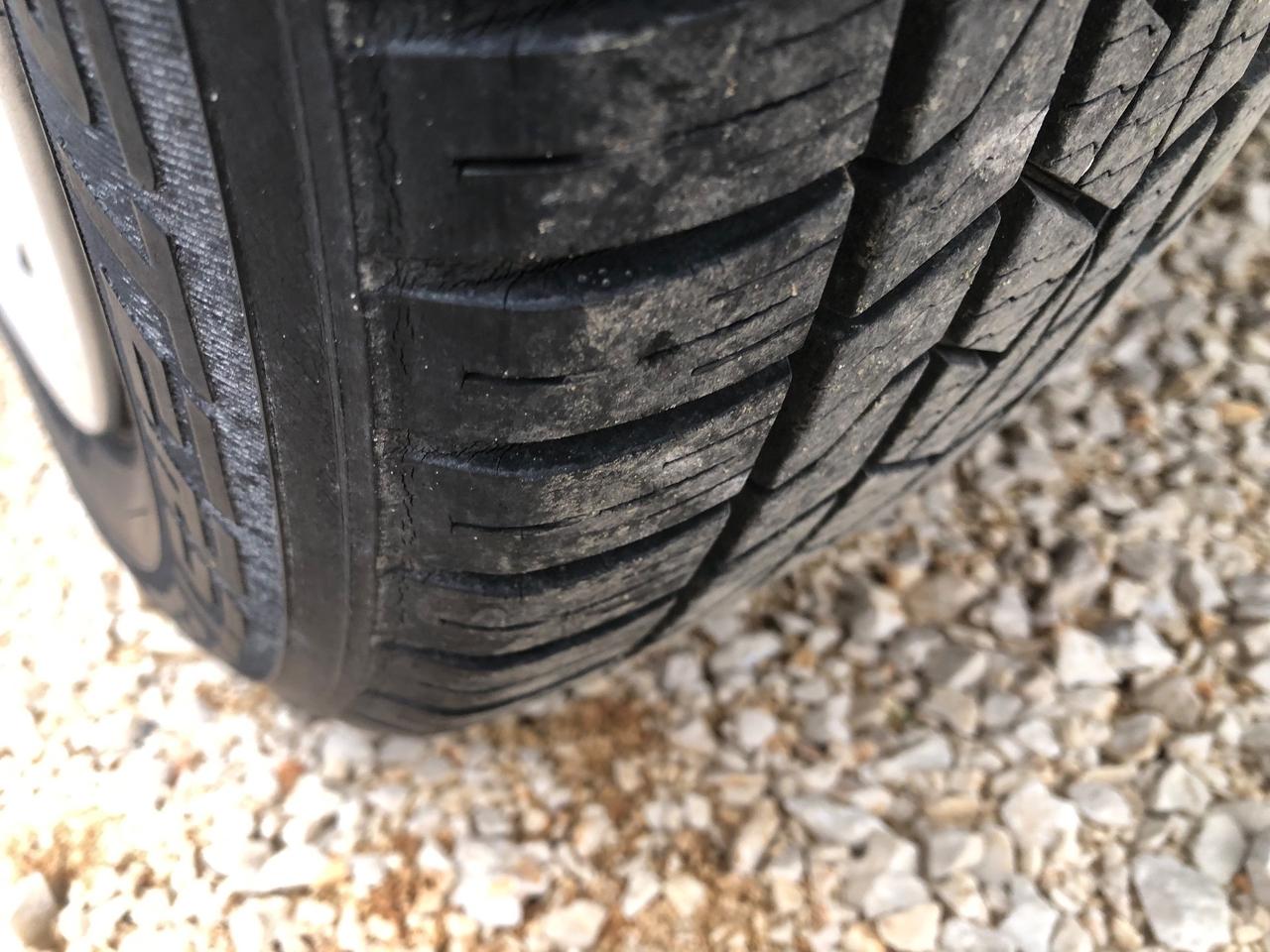 PUNTO 1.2 METANO - ECOLOGICA