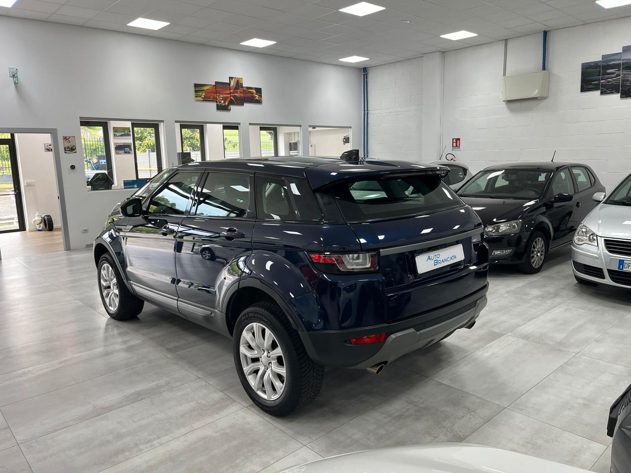 Land Rover Range Rover Evoque 5p 2.0 td4 SE Business edition 150cv auto