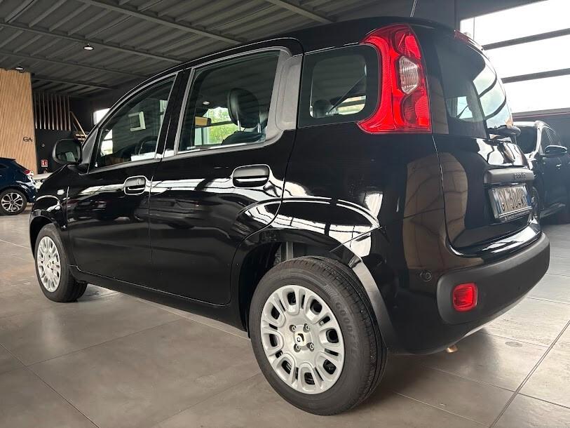 Fiat Panda 1.0 FireFly Hybrid NEOPATENTATI