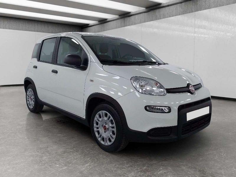 FIAT Panda 1.0 firefly hybrid s&s 70cv 5p.ti