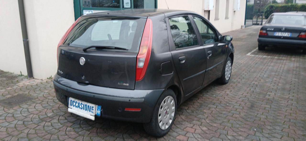 Fiat Punto 1.2 5 porte neopatentati