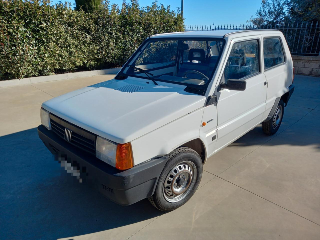 Fiat Panda 900 i.e. cat Young