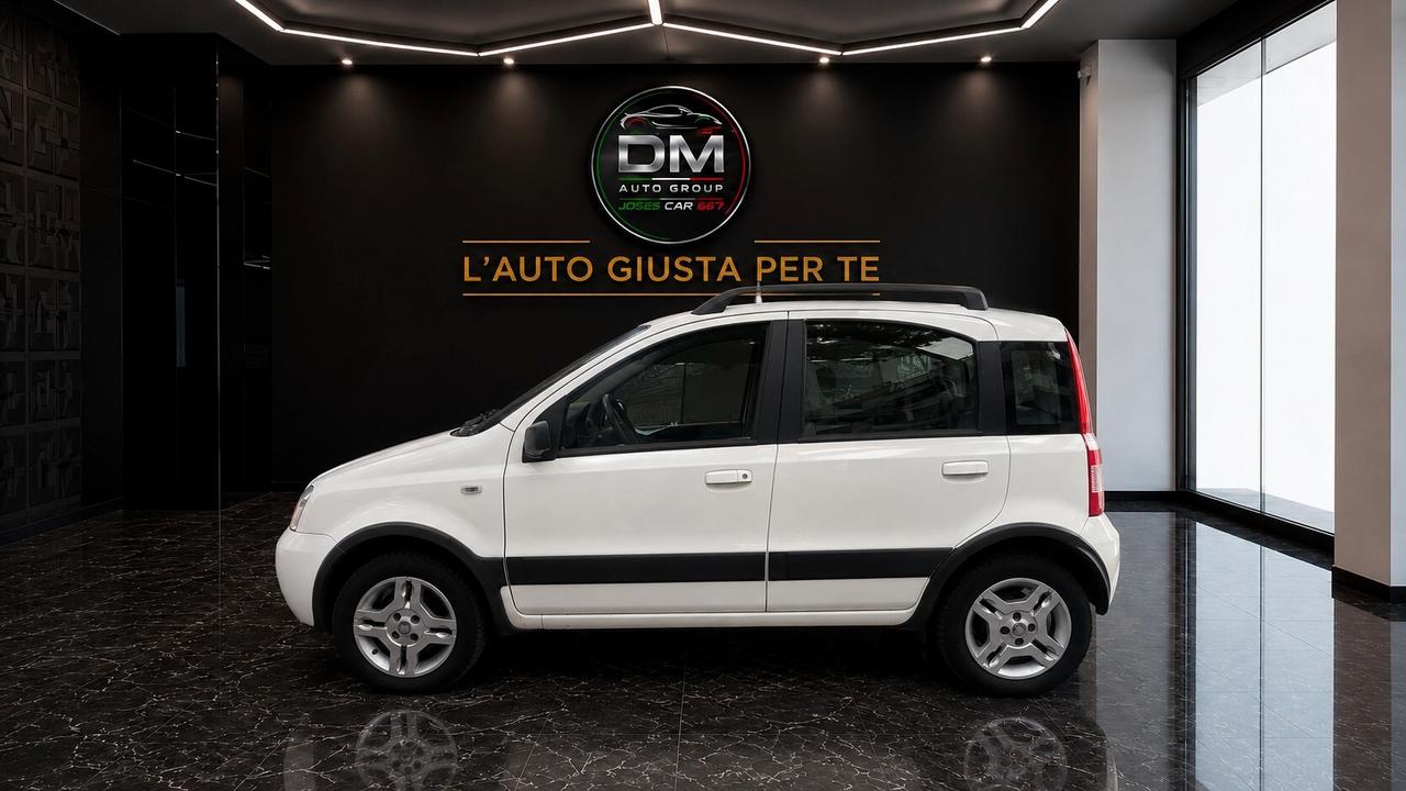 Fiat Panda 1.2 Climbing Natural Power