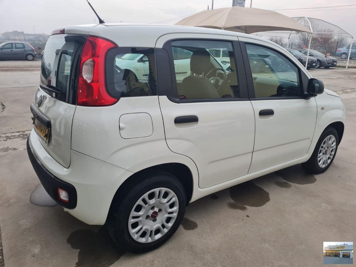 FIAT Panda 1.2 Trussardi Benzina-Neopatentati-2019