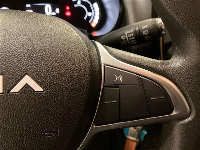 DACIA Spring Electric 65 Extreme