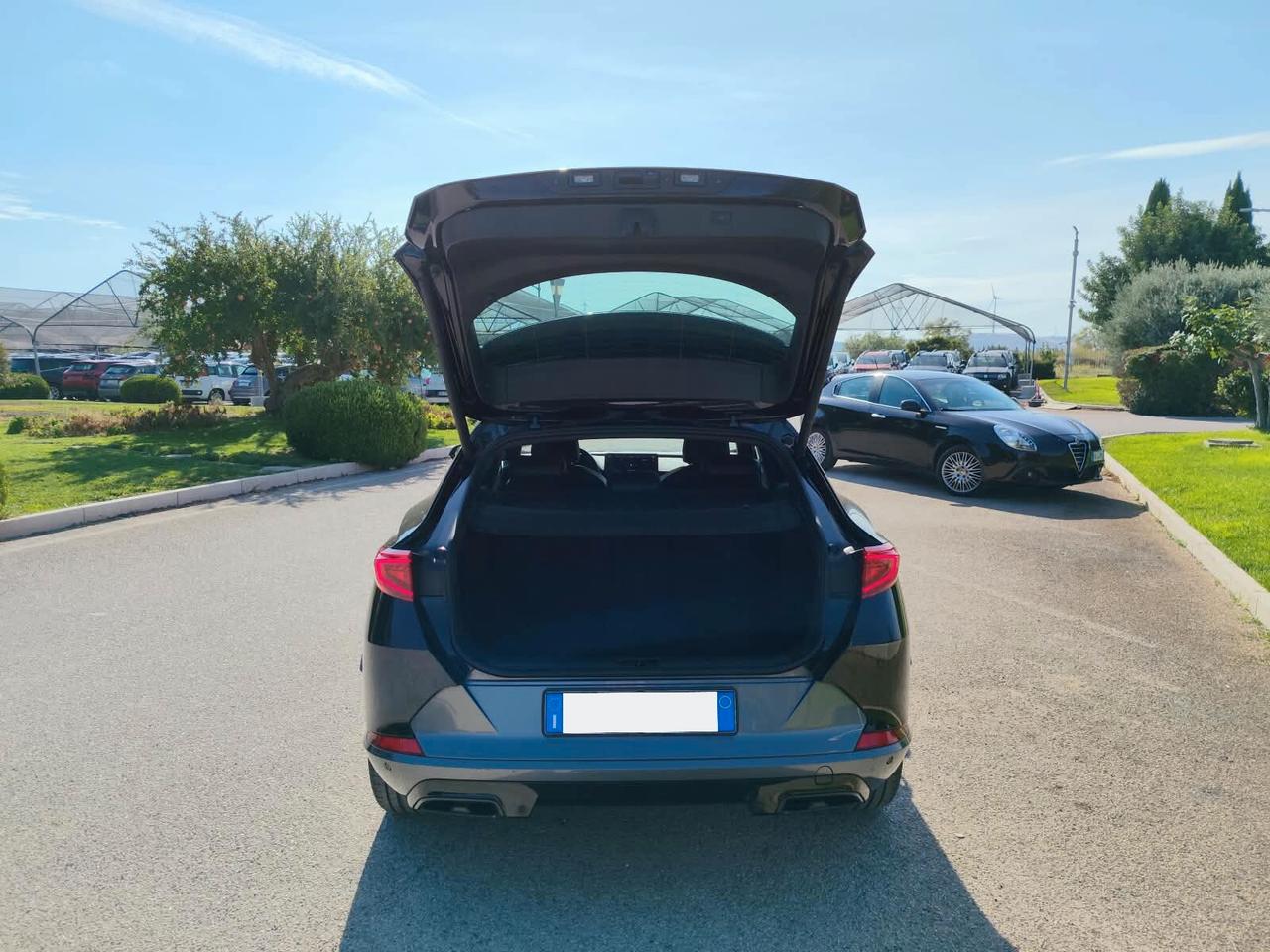 Cupra Formentor 2.0 TDI 4Drive DSG