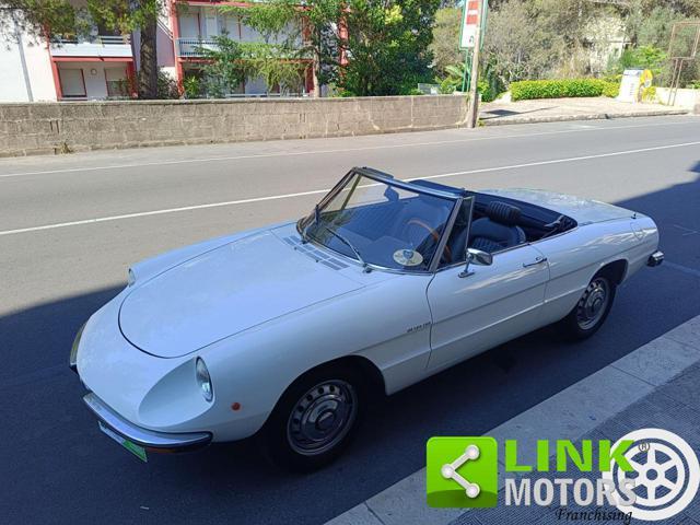 ALFA ROMEO Spider 1.6 Junior TARGA ORO