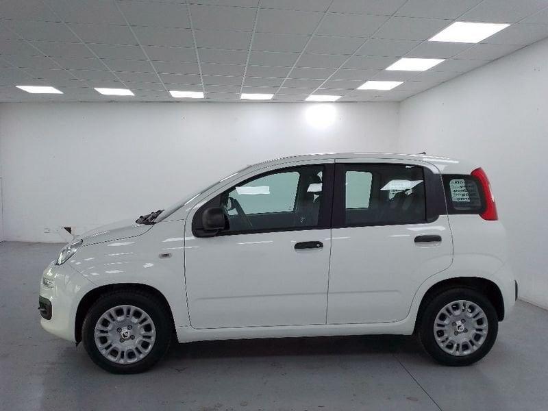 FIAT Pandina 1.0 firefly hybrid Icon s e s 70cv 5p.ti