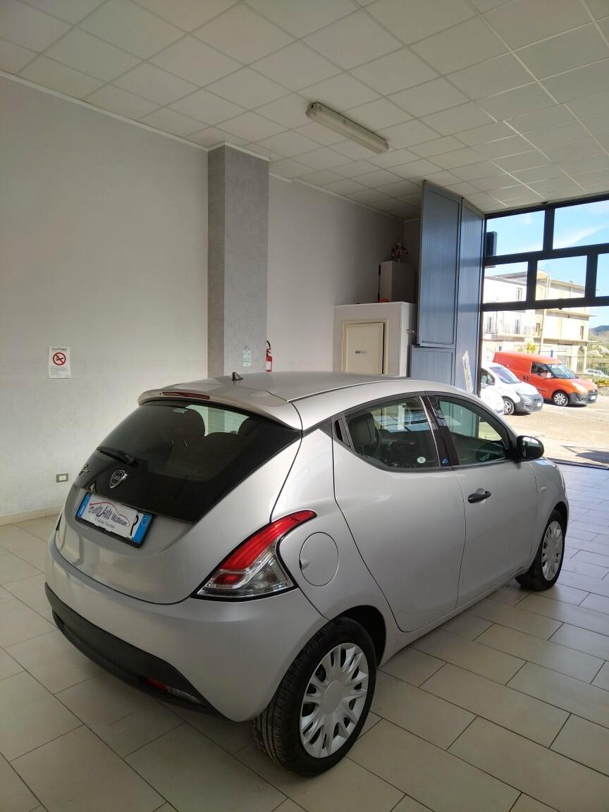 Lancia Ypsilon 1.2 69 CV 5 porte Elefantino FINANZIABILE