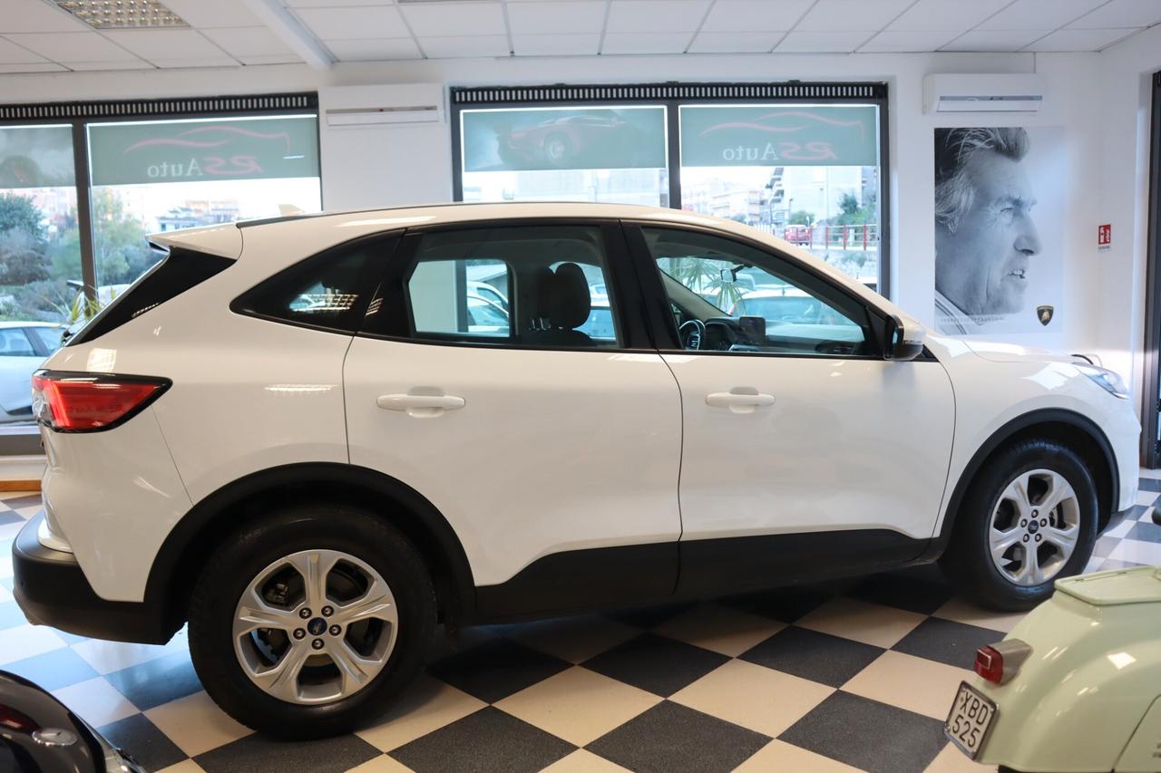 Ford Kuga 1.5 EcoBlue 120 CV 2WD Titanium