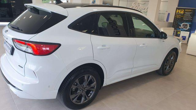 FORD Kuga ST-Line 2.5 Plug In Hybrid 225 CV CVT