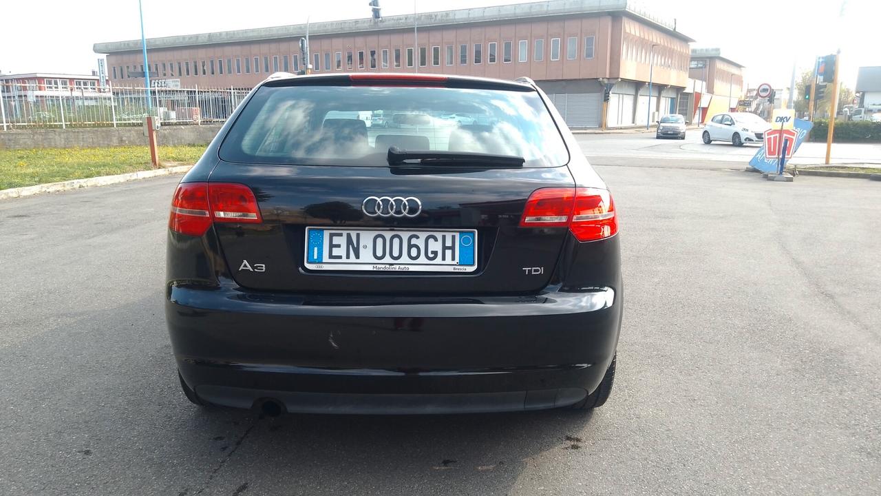 Audi A3 SPB 1.6 TDI 90 CV CR F.AP NEOP 12