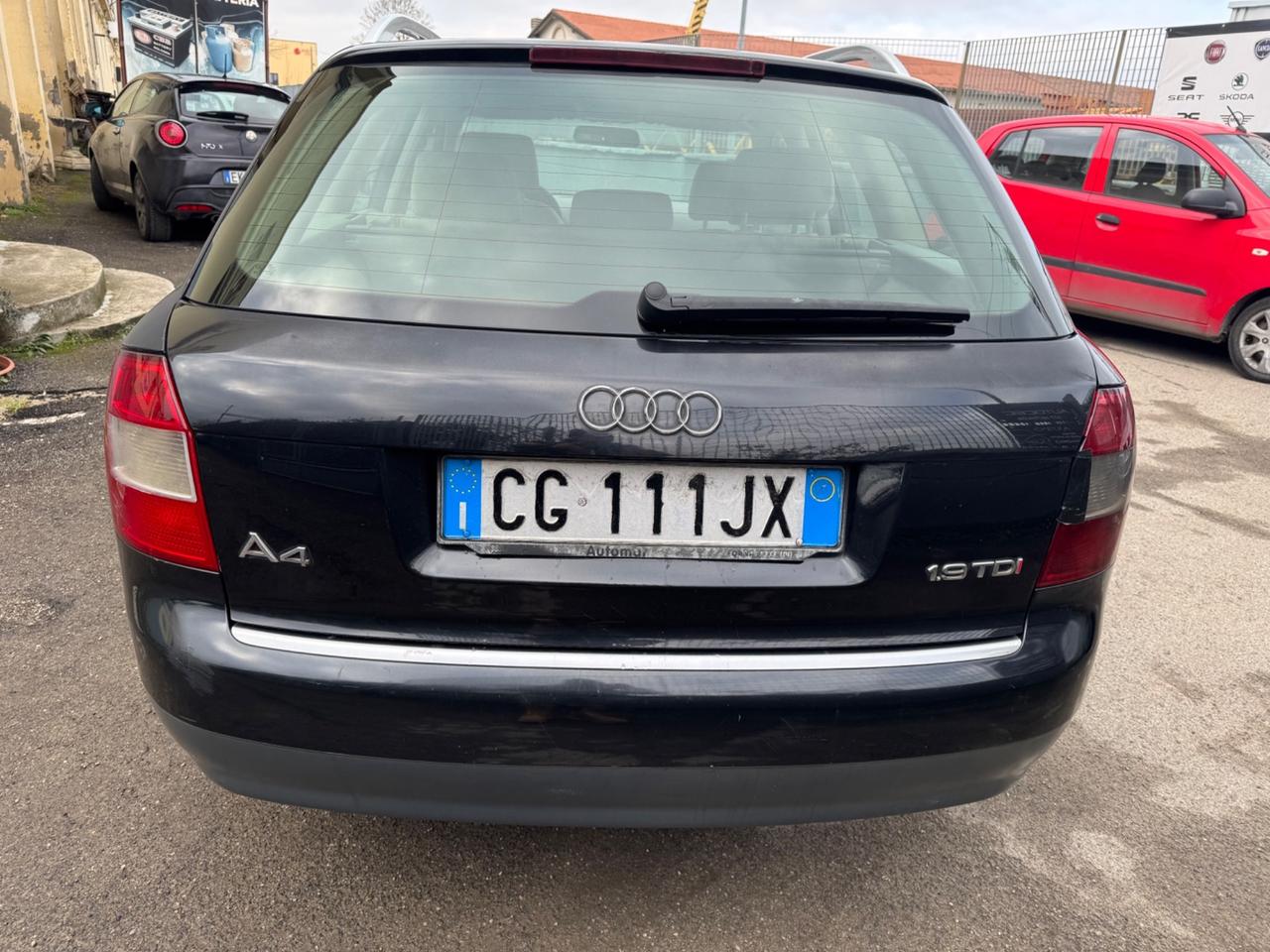 Audi A4 1.9 TDI/130 CV cat Avant