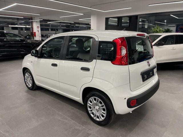 FIAT Pandina 1.0 Hybrid Pop KM0 MY 26