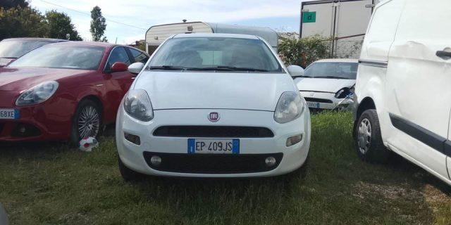 FIAT Punto 1.4 8V 5 porte Natural Power Lounge