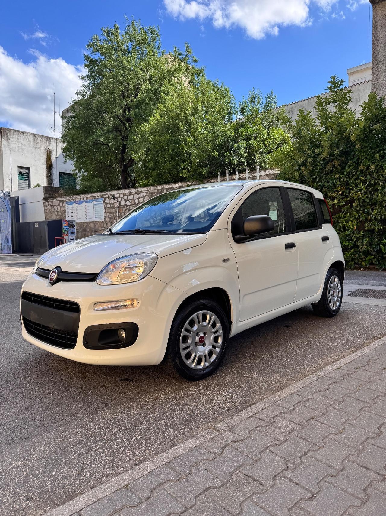 Fiat Panda 1.2 69cv Easy Finanziabile